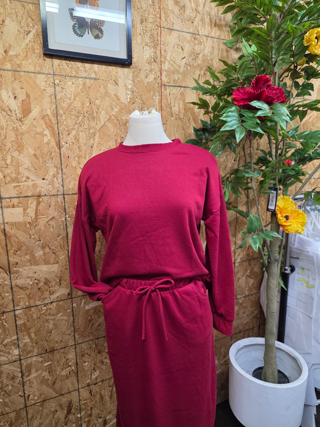 Sweatshirt (Solid Color)